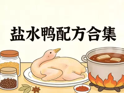 盐水鸭配方合集，价值万元商用技术