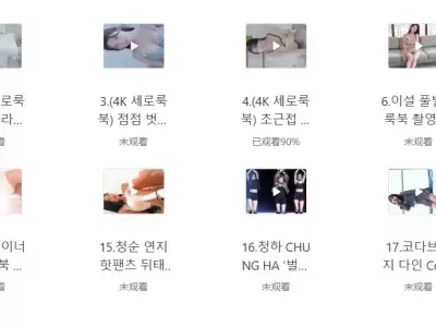 精选韩国女团成员(大C度)【20部5G】