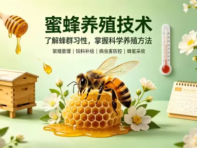 蜜蜂养殖技术视频教程合集