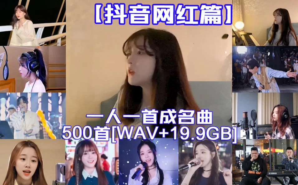 【抖音网红篇】一人一首网红成名曲整合500首无损歌曲每一首都曾是热搜榜神曲[WAV+19.9GB]